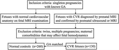 Utility of fetal cardiovascular magnetic resonance imaging in assessing the fetuses with complete vascular ring